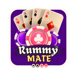 Rummy Mate